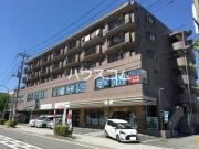 ハイブリッジII