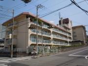 スターハイツ住吉川