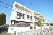 ＪＲ牟岐線南小松島駅まで徒歩11分