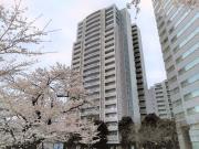 文京グリーンコートビュータワー本駒込B棟