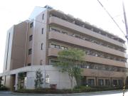 アペックスパラツィーナくずは