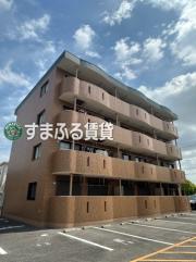サルビア