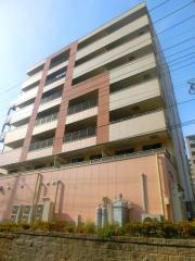 Kalmia East
