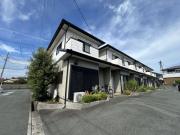 メイプルトゥリーA