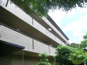 フォリア岡本