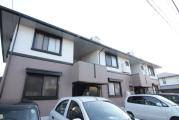 ハイカムール柧B