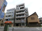 シャントレル