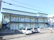 New City芦野