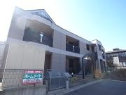 ラディッシュVI