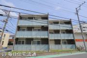 ラベンダー
