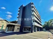 CHAINON楡木