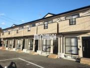 セントポーリア