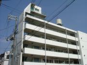 シャトー背戸口