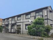 ドルフ甲子園