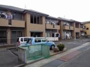 グリーングラスB