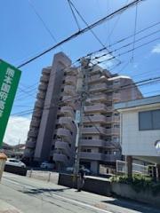 デイアステージ国府
