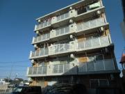 Idealvida芳川