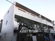 Anfini kyodo