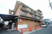 The Vintage Iwakura 