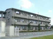 Raffine泉
