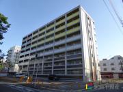 No81 AMARIGE