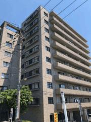 Daiwa Grace Maison 大島I