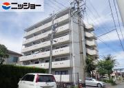 シャローF
