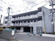 アザールカモ