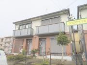 ツイン・アイリス