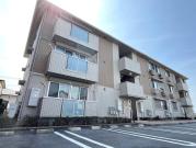 Cozy Cort 竹中