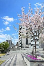 ラ・レジェンダ白川公園