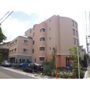 LapisGarden