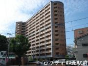 ロフティ郡元駅前