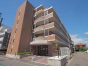 ソリドール立川