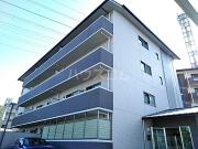 First Hills Tahara