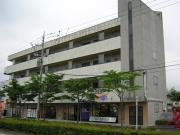 パセオウィンズ
