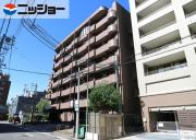カスティーヌ前津