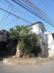バンビ