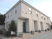 エクセレンス胡蝶蘭