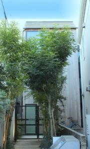 cocoha都立大