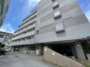 ステラコート横浜白楽