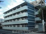 レオネクストコスモス