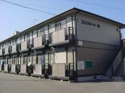 コンフォートM