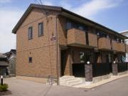 コンフォート24