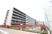 ウエリスつくば研究学園レジデンス1311号室