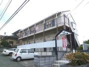 ウェルネス下原
