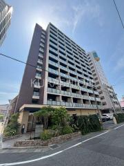 iN SHAPE港