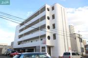 エレガンス野田