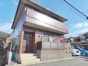 SAKURAコート