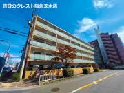Lucent Parkshore